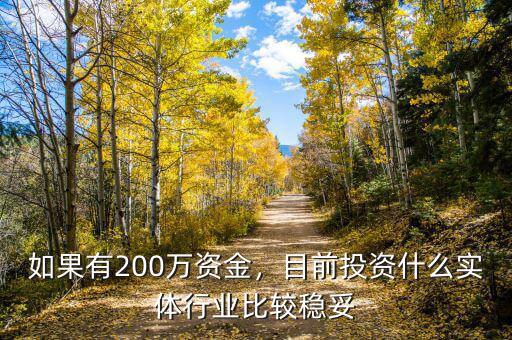 如果有200萬(wàn)資金，目前投資什么實(shí)體行業(yè)比較穩(wěn)妥