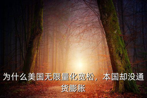 為什么美國無限量化寬松，本國卻沒通貨膨脹