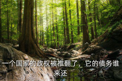一個國家的政權(quán)被推翻了，它的債務(wù)誰來還