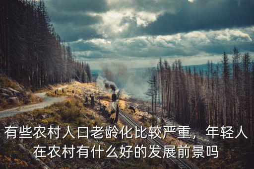 有些農(nóng)村人口老齡化比較嚴重，年輕人在農(nóng)村有什么好的發(fā)展前景嗎
