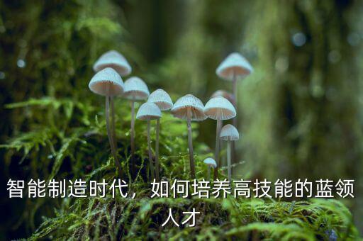 智能制造時(shí)代，如何培養(yǎng)高技能的藍(lán)領(lǐng)人才
