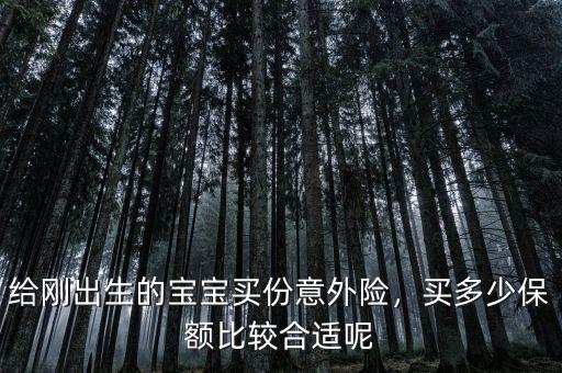 給剛出生的寶寶買份意外險，買多少保額比較合適呢
