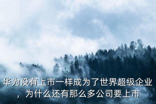 華為沒有上市一樣成為了世界超級(jí)企業(yè)，為什么還有那么多公司要上市