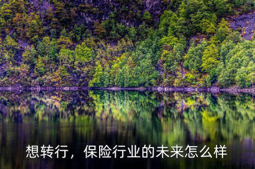 想轉行，保險行業(yè)的未來怎么樣
