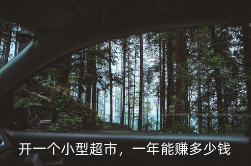 開一個小型超市，一年能賺多少錢