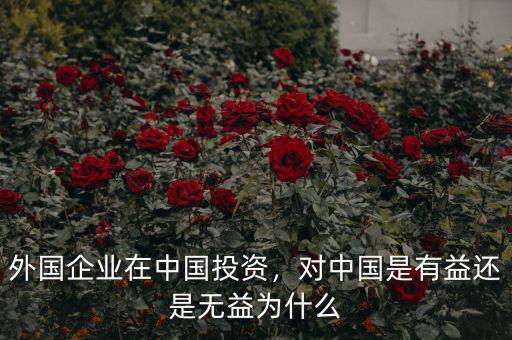 外國(guó)企業(yè)在中國(guó)投資，對(duì)中國(guó)是有益還是無(wú)益為什么