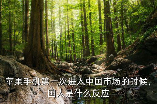 蘋果手機第一次進(jìn)入中國市場的時候，國人是什么反應(yīng)