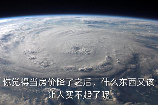 你覺得當房價降了之后，什么東西又該讓人買不起了呢