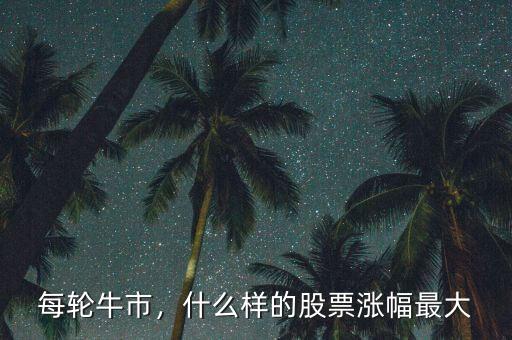 每輪牛市，什么樣的股票漲幅最大