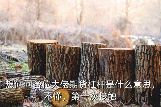 想問(wèn)問(wèn)各位大佬期貨杠桿是什么意思，不懂，第一次接觸