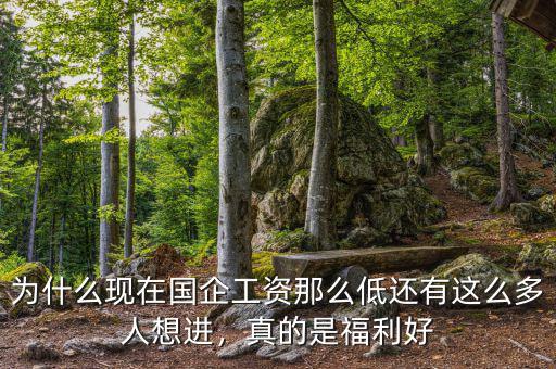 為什么現(xiàn)在國企工資那么低還有這么多人想進(jìn)，真的是福利好