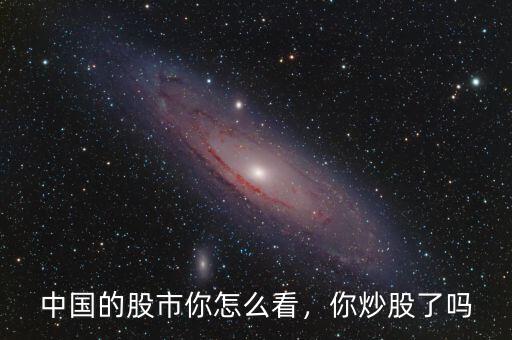 中國的股市你怎么看，你炒股了嗎