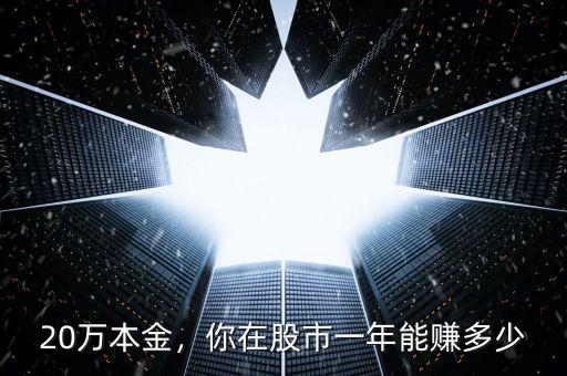 20萬本金，你在股市一年能賺多少