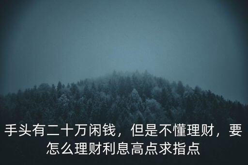 手頭有二十萬閑錢，但是不懂理財(cái)，要怎么理財(cái)利息高點(diǎn)求指點(diǎn)