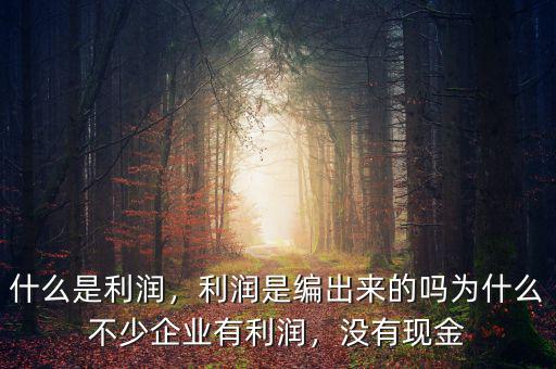 什么是利潤(rùn)，利潤(rùn)是編出來的嗎為什么不少企業(yè)有利潤(rùn)，沒有現(xiàn)金