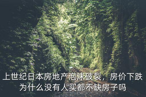 上世紀(jì)日本房地產(chǎn)泡沫破裂，房?jī)r(jià)下跌為什么沒有人買都不缺房子嗎