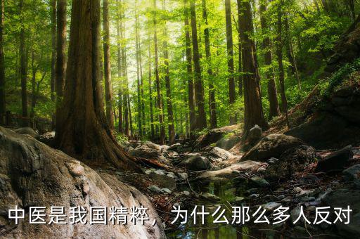 中醫(yī)是我國精粹，為什么那么多人反對