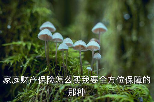 家庭財產保險怎么買我要全方位保障的那種