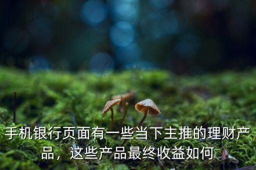 手機(jī)銀行頁(yè)面有一些當(dāng)下主推的理財(cái)產(chǎn)品，這些產(chǎn)品最終收益如何