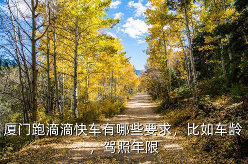 廈門跑滴滴快車有哪些要求，比如車齡，駕照年限