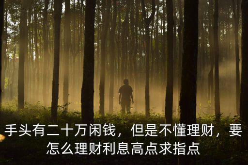 手頭有二十萬閑錢，但是不懂理財(cái)，要怎么理財(cái)利息高點(diǎn)求指點(diǎn)