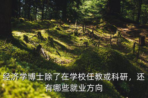 經(jīng)濟(jì)學(xué)博士除了在學(xué)校任教或科研，還有哪些就業(yè)方向