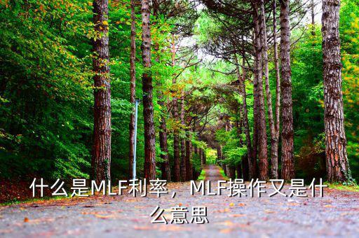 什么是MLF利率，MLF操作又是什么意思