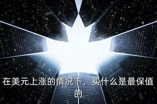 買(mǎi)美元需要注意什么,買(mǎi)什么是最保值的