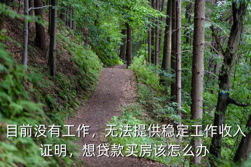 目前沒(méi)有工作，無(wú)法提供穩(wěn)定工作收入證明，想貸款買房該怎么辦