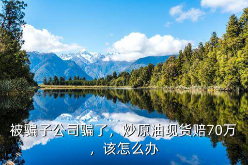 被騙子公司騙了，炒原油現(xiàn)貨賠70萬(wàn)，該怎么辦