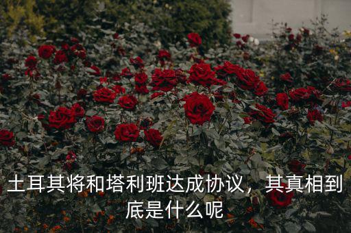 土耳其將和塔利班達(dá)成協(xié)議，其真相到底是什么呢