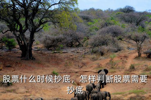 股票什么時(shí)候抄底，怎樣判斷股票需要抄底