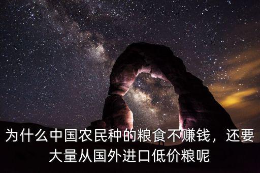為什么中國農(nóng)民種的糧食不賺錢，還要大量從國外進口低價糧呢