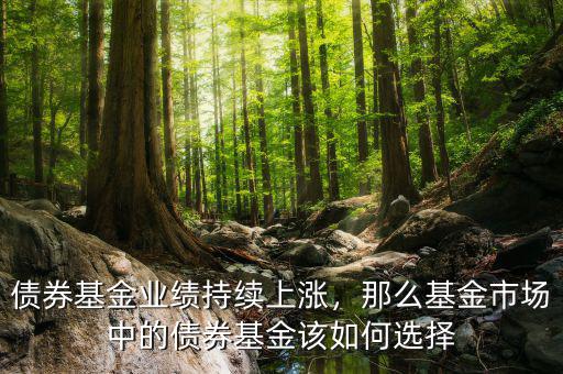 債券基金業(yè)績持續(xù)上漲，那么基金市場中的債券基金該如何選擇