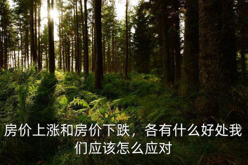 房價上漲和房價下跌，各有什么好處我們應(yīng)該怎么應(yīng)對