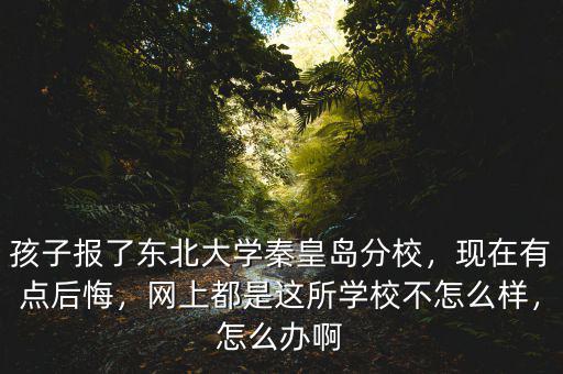 孩子報(bào)了東北大學(xué)秦皇島分校，現(xiàn)在有點(diǎn)后悔，網(wǎng)上都是這所學(xué)校不怎么樣，怎么辦啊