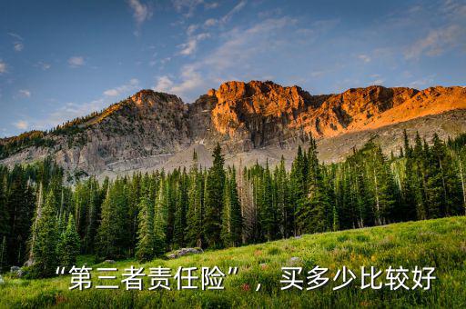 “第三者責(zé)任險(xiǎn)”，買多少比較好