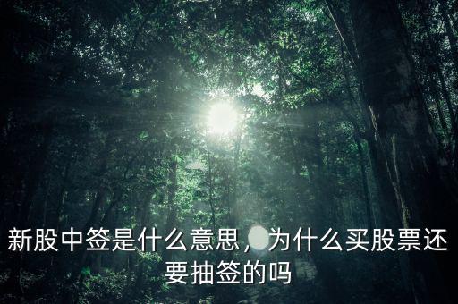 新股中簽是什么意思，為什么買股票還要抽簽的嗎