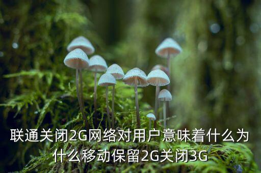 聯(lián)通關(guān)閉2G網(wǎng)絡(luò)對(duì)用戶(hù)意味著什么為什么移動(dòng)保留2G關(guān)閉3G