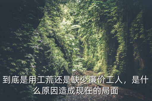 到底是用工荒還是缺少廉價(jià)工人，是什么原因造成現(xiàn)在的局面