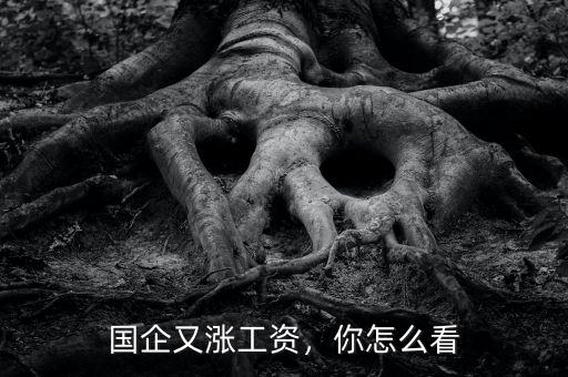 國企又漲工資，你怎么看