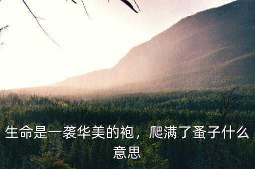 生命是一襲華美的袍，爬滿了蚤子什么意思