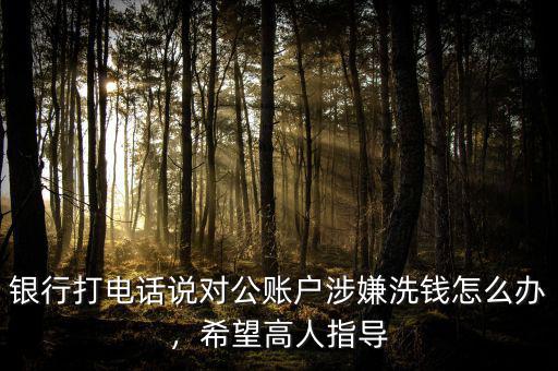 銀行打電話說(shuō)對(duì)公賬戶涉嫌洗錢(qián)怎么辦，希望高人指導(dǎo)
