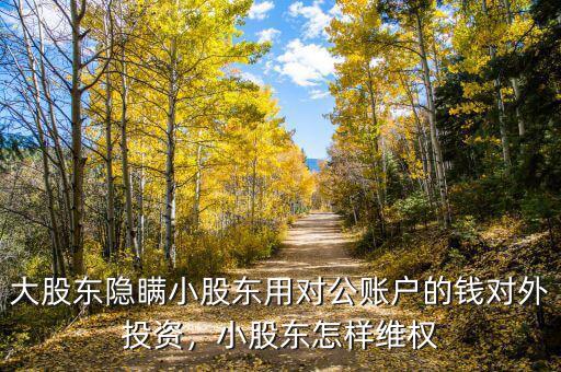大股東隱瞞小股東用對公賬戶的錢對外投資，小股東怎樣維權(quán)