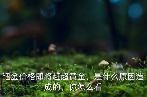 鈀金價(jià)格即將趕超黃金，是什么原因造成的，你怎么看