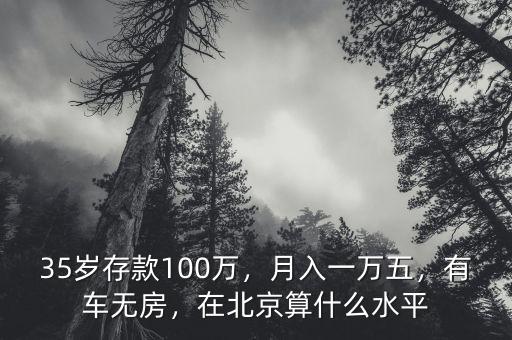 35歲存款100萬，月入一萬五，有車無房，在北京算什么水平