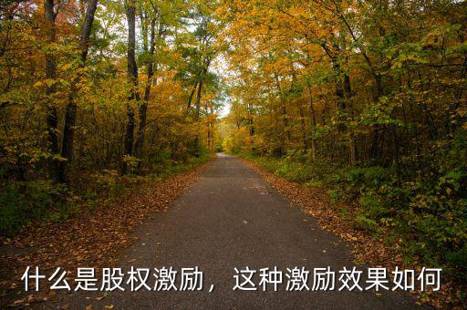 什么是股權(quán)激勵，這種激勵效果如何