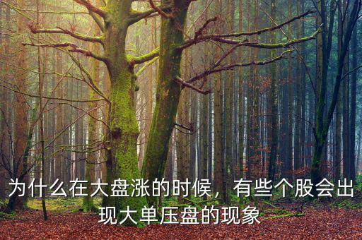 為什么在大盤漲的時候，有些個股會出現(xiàn)大單壓盤的現(xiàn)象