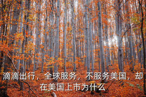 滴滴出行，全球服務，不服務美國，卻在美國上市為什么