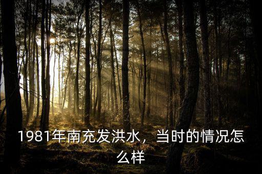 1981年南充發(fā)洪水，當(dāng)時的情況怎么樣